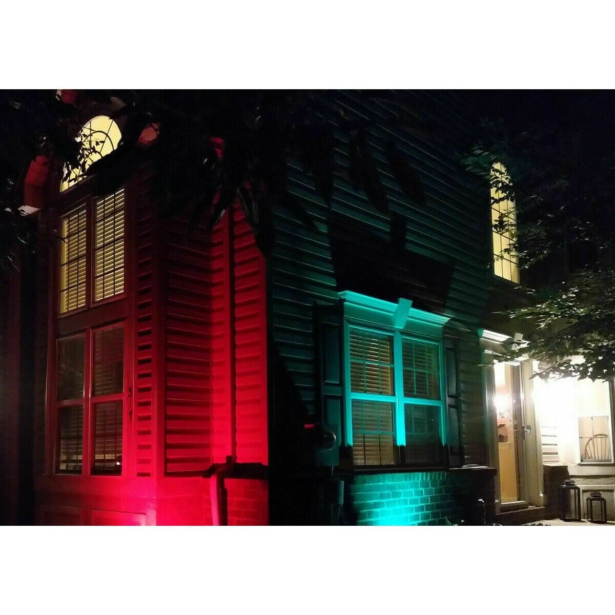 images Proiector LED 10W RGB 16 culori IP 65 telecomanda inclusa