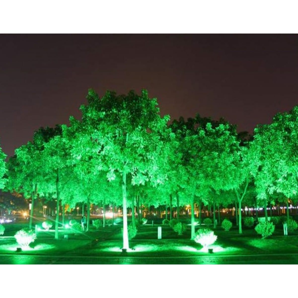 images Proiector LED 10W RGB 16 culori IP 65 telecomanda inclusa