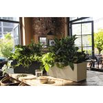 Jardinieră Lechuza Balconera - Negru