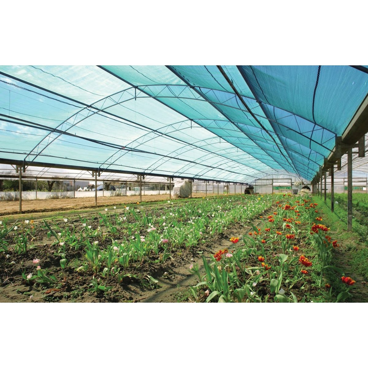 produs_GOD101552998_2.jpg Plasă Umbrire Seră 6x15m, 40% - Vodaland