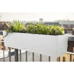 Jardinieră Lechuza Balconera - 79x19x19 cm Alb