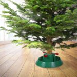 Suport Brad Natural Reglabil cu Rezervă Apă - Până la 200 cm