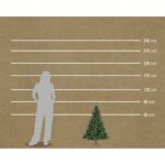 Brad de Crăciun Artificial Lafiora Colorado 90 cm, Verde