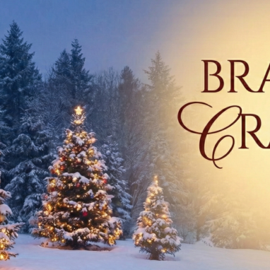 brazi artificiali bricocasa