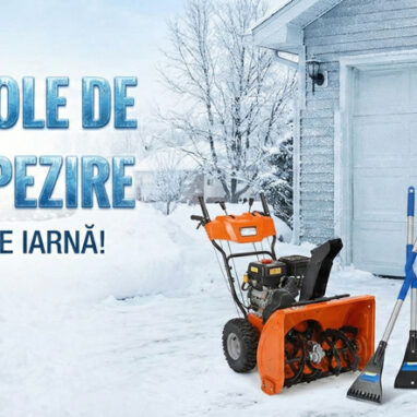 deszapezire bricocasa.ro