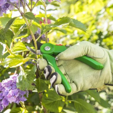Foarfeca Gradina Geolia, Otel Carbon, Bypass, 18.5 cm