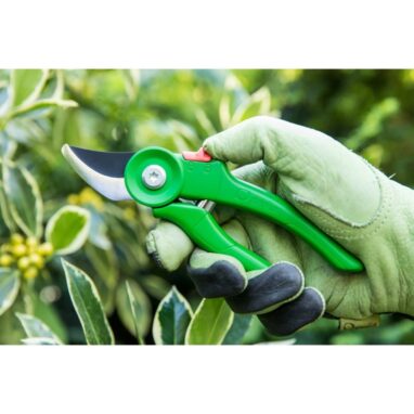 Foarfeca Gradina Geolia, Otel Carbon, Bypass, 18.5 cm