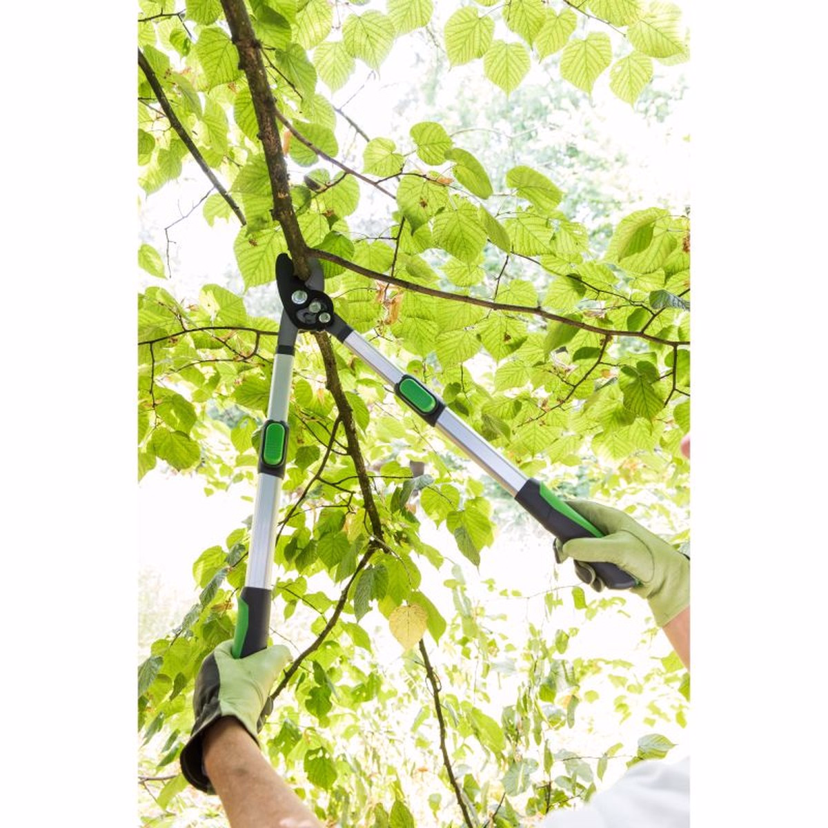 Foarfecă de grădină telescopică Geolia, oțel, 66-90 cm