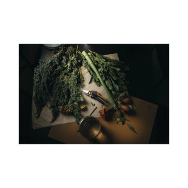 Foarfecă Fiskars PowerGear L P961 - Tăiere Bypass 26 mm