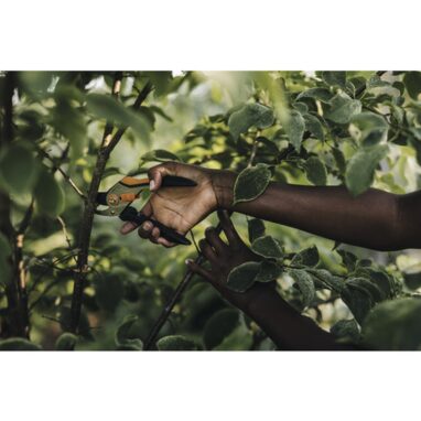 Foarfecă Fiskars Solid P331 Metalică Bypass, 20 mm