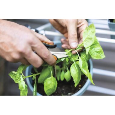 Foarfecă plante aromatice Fiskars Solid, 12,9 cm, Inox