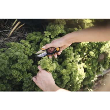 Foarfecă plante aromatice Fiskars Solid, 12,9 cm, Inox