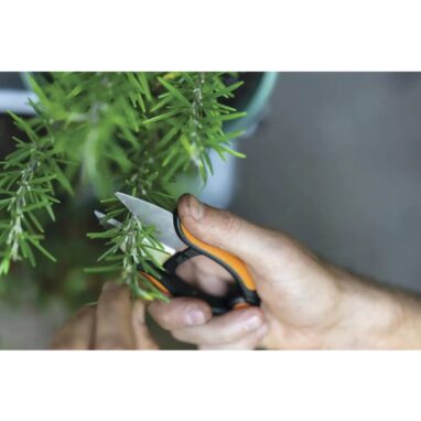 Foarfecă plante aromatice Fiskars Solid, 12,9 cm, Inox