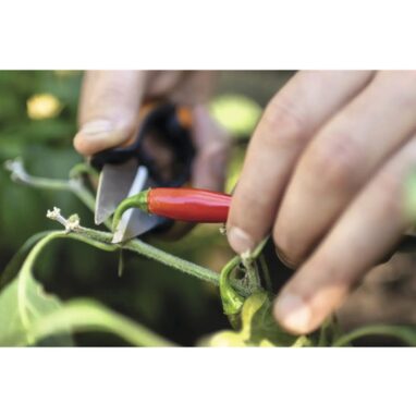 Foarfecă plante aromatice Fiskars Solid, 12,9 cm, Inox