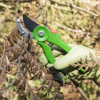 Foarfecă grădină Geolia nicovală, oțel carbon, 21.2 cm
