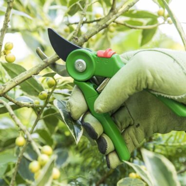 Foarfecă de grădină Geolia, 21.5 cm, pentru crengi, bypass