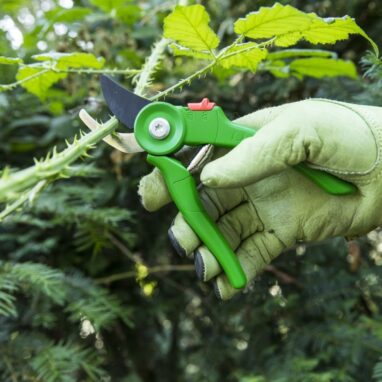 Foarfecă de grădină Geolia, 21.5 cm, pentru crengi, bypass