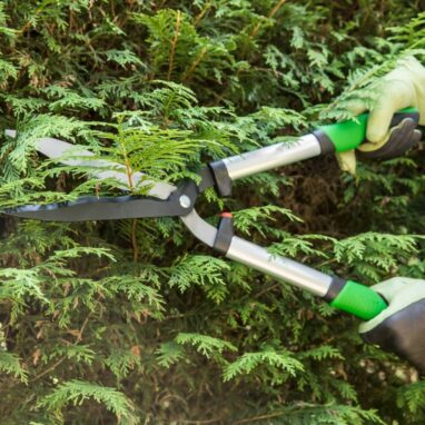 Foarfeca gard viu Geolia, otel carbon, 58 cm