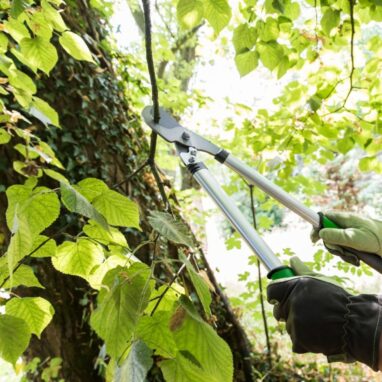 Foarfecă pentru crengi Geolia 50.5 cm, Oțel carbon