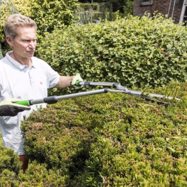 Foarfeca Gard Viu Geolia Telescopica Otel 66-90 cm