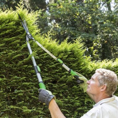 Foarfeca Gard Viu Geolia Telescopica Otel 66-90 cm