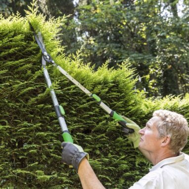 Foarfeca Gard Viu Geolia Telescopica Otel 66-90 cm