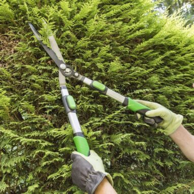 Foarfeca Gard Viu Geolia Telescopica Otel 66-90 cm