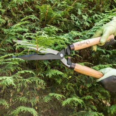 Foarfecă gard viu Geolia, Oțel Carbon, 50 cm