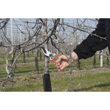 Felco 2 - Foarfecă Profesională pentru Grădină și Tufișuri