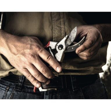 Felco 2 - Foarfecă Profesională pentru Grădină și Tufișuri