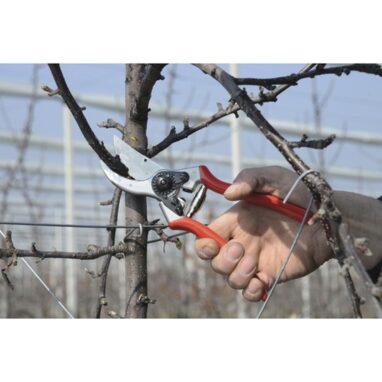 Felco 2 - Foarfecă Profesională pentru Grădină și Tufișuri