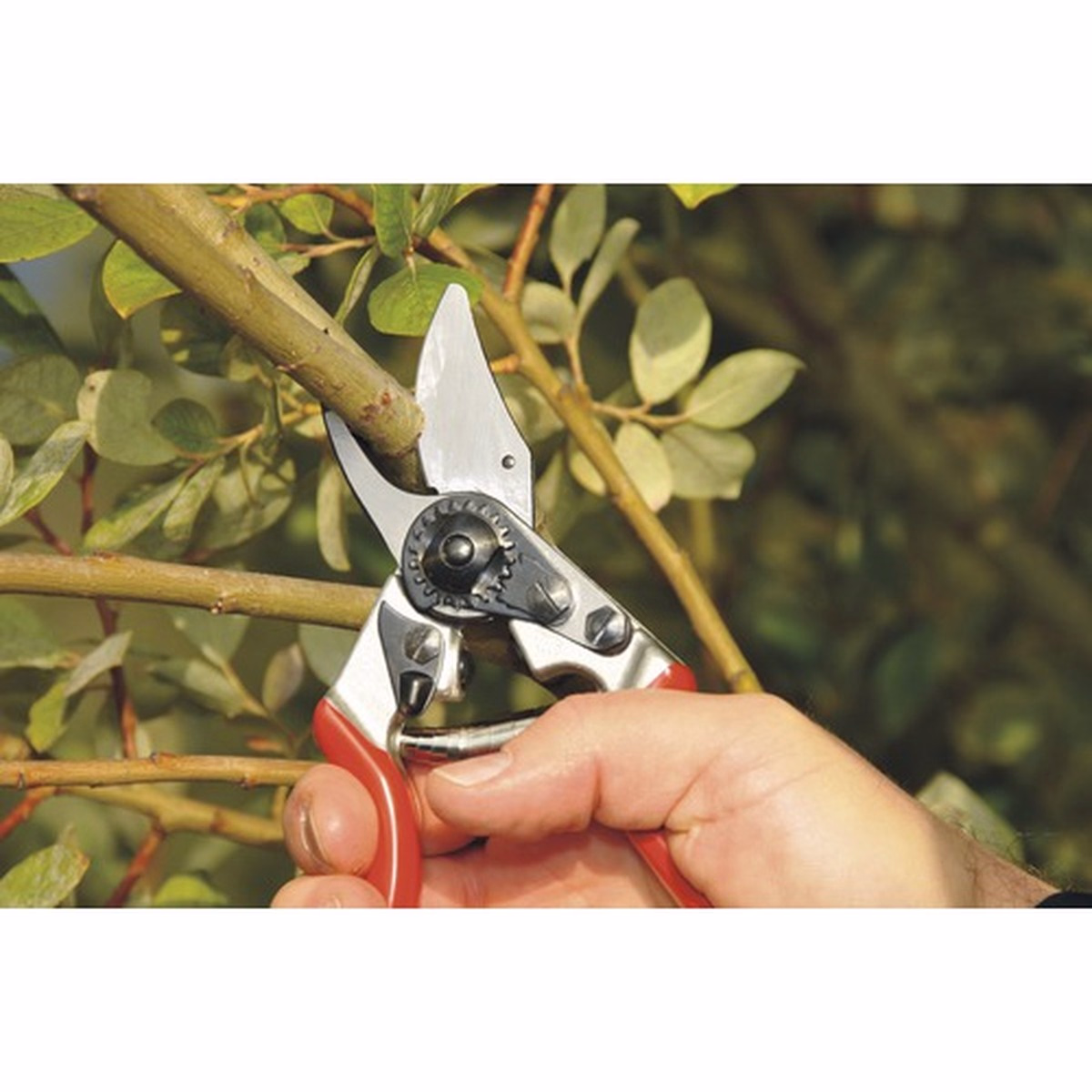 Foarfecă Grădină Felco 6 - Tăiere Bypass 20 mm