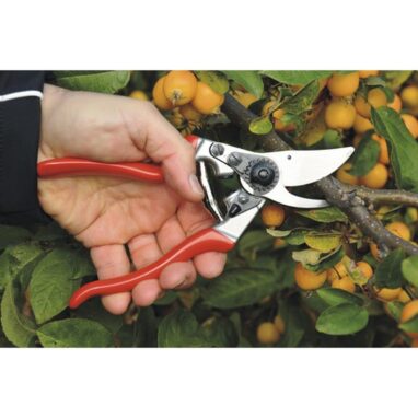 Foarfecă copaci Felco 9 - Profesională pentru stângaci