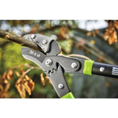 Set for_q Foarfecă Crengi Nicovală și Fierăstrău, 40 mm