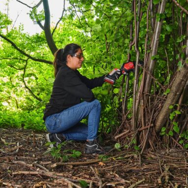Fierastrau pe acumulator Sterwins 18V, lama 15.8 cm, 1.56 kg