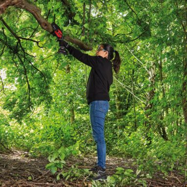 Fierastrau pe acumulator Sterwins 18V, lama 15.8 cm, 1.56 kg